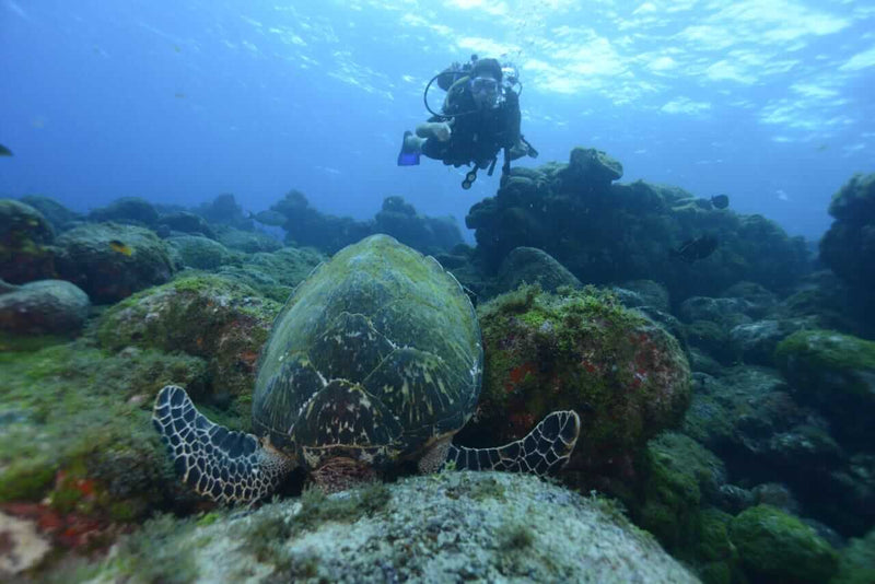 Mergulho embarcado - Cilindro