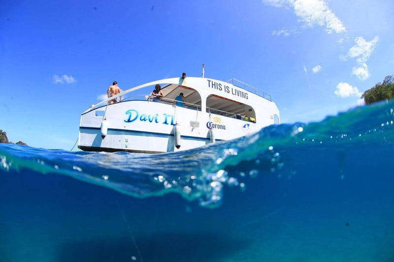 Barco tradicional (Catamarã)